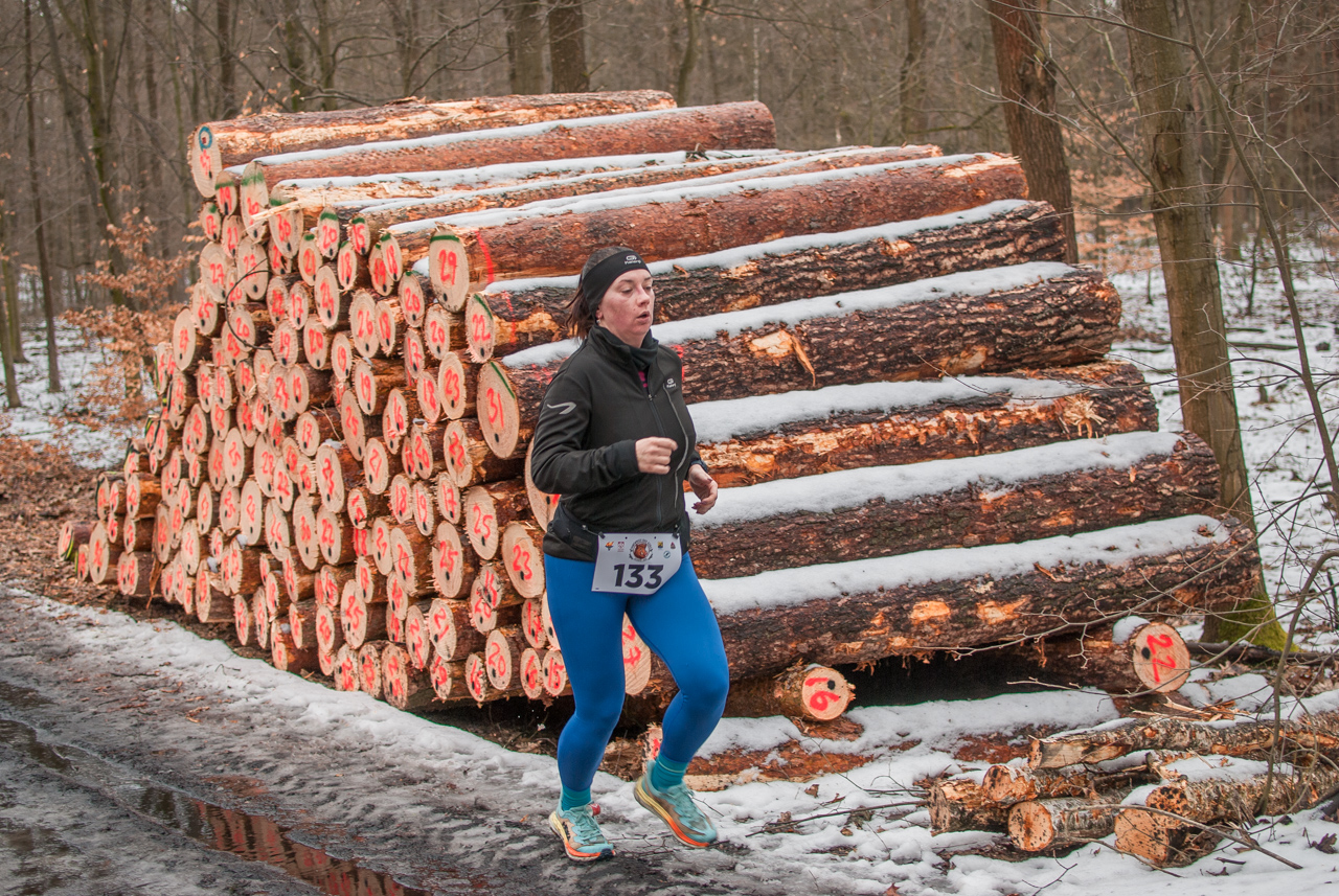 Bieg dzika luty 2026 mojekatowice (167)