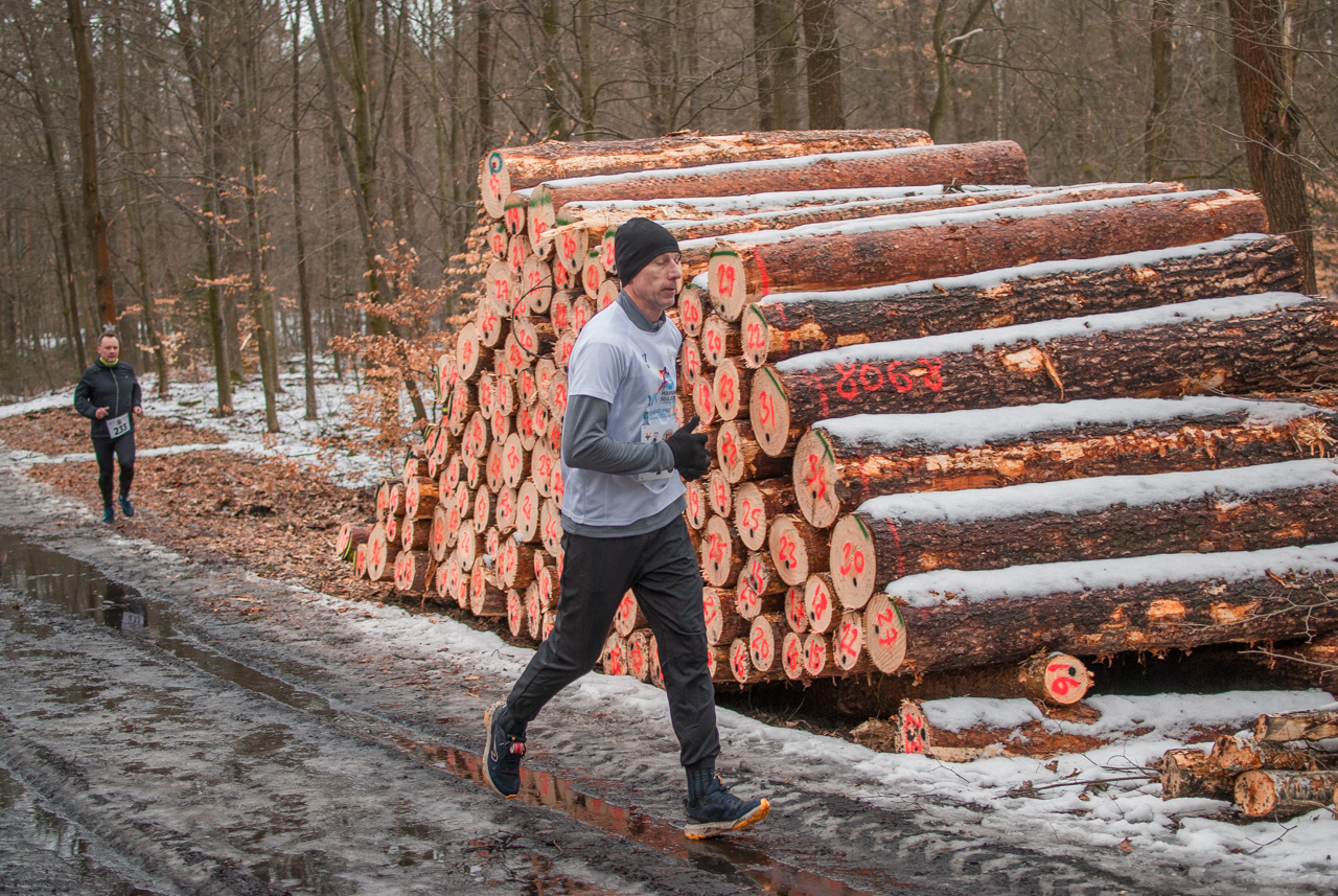 Bieg dzika luty 2026 mojekatowice (176)