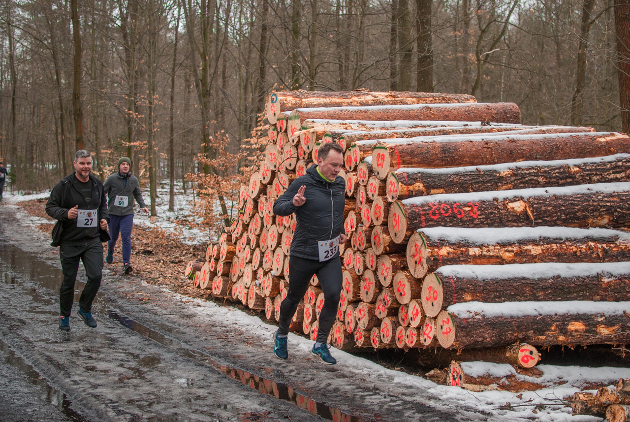 Bieg dzika luty 2026 mojekatowice (177)