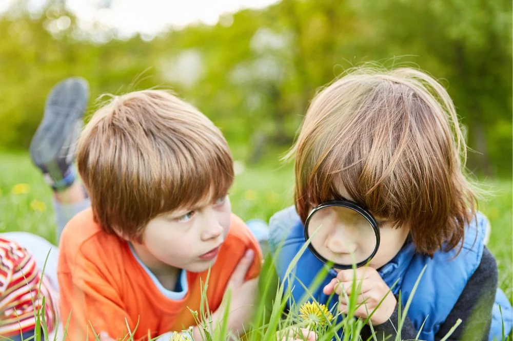 Botaniczne Eco-Rozgrywki w Rudzie Śląskiej. Bezpłatna gra edukacyjna dla szkół