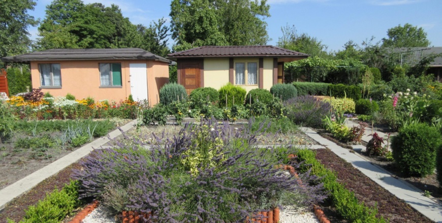 Dotacje dla rodzinnych ogrodów działkowych w Zabrzu. Miasto rozdysponuje 250 tys. zł