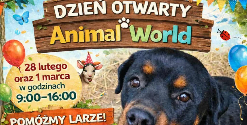 Dzień Otwarty w Animal World w Zabrzu. Dochód na leczenie Lary