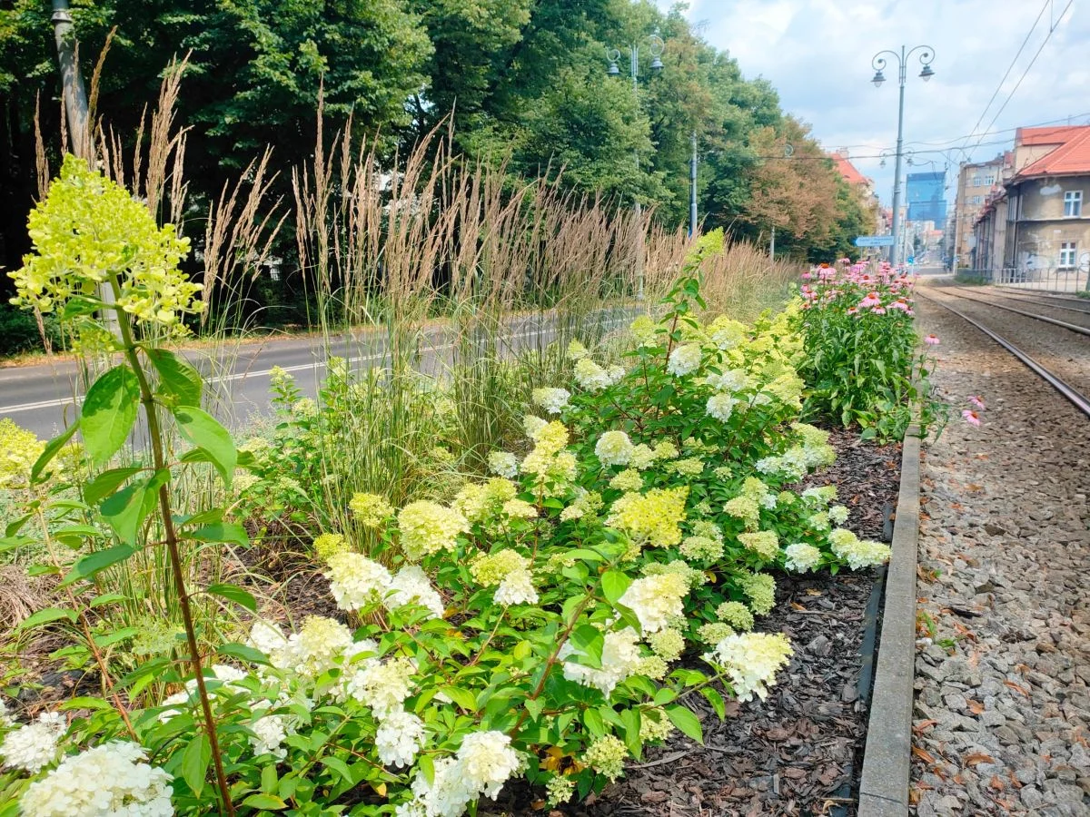 W Katowicach wystartowała Dzielnicowa Giełda Pomysłów!