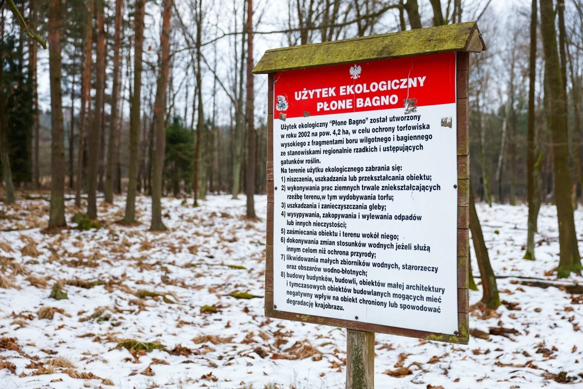 Katowickie Wodociągi: ochrona mokradeł to fundament jakości wody