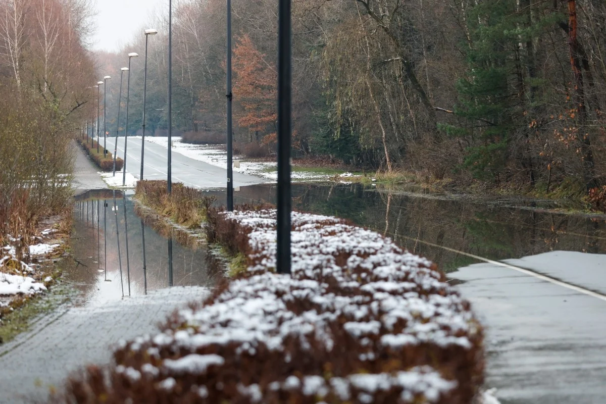 Rolkostrada w Dolinie Trzech Stawów zostanie naprawiona. Miasto Katowice zawarło umowę z wykonawcą inwestycji