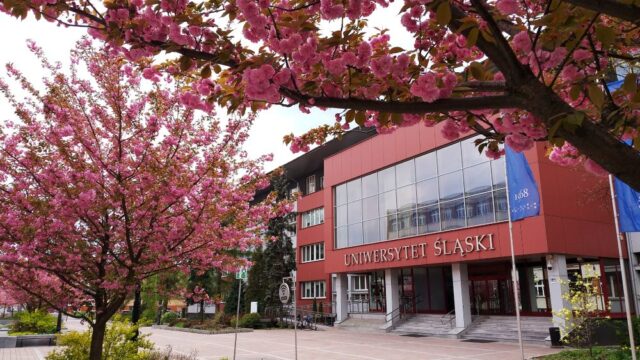 "Śląski Most" ma być przyszłością szkolnictwa wyższego - mamy porozumienie regionalnych uczelni!