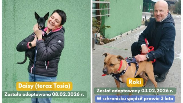 10 podopiecznych „Fauny” opuściło schronisko – podsumowanie tygodnia