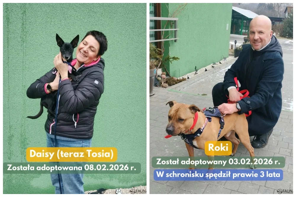 10 podopiecznych „Fauny” opuściło schronisko – podsumowanie tygodnia