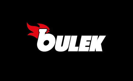 BULEK – warsztat samochodowy, mechanik, chiptuning Toruń