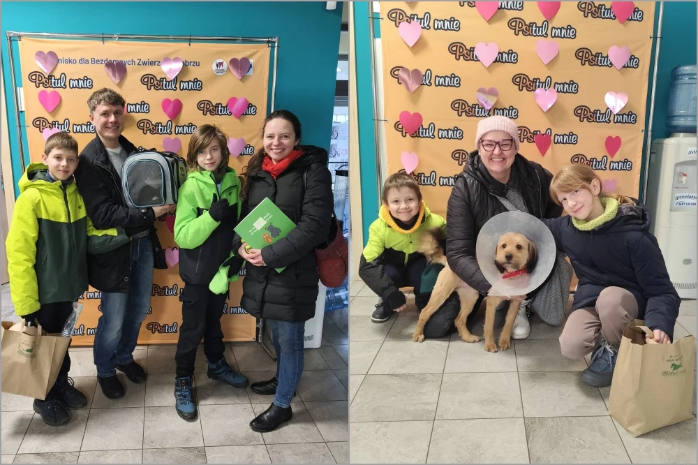 Kolejne Psitulaki znalazły nowe domki!