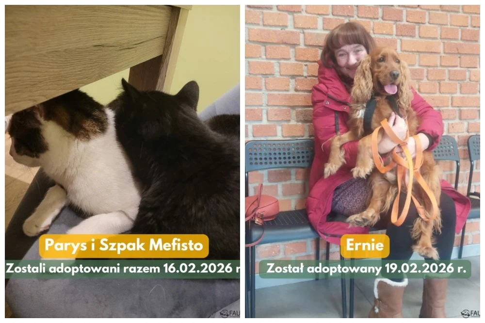 Kolejnych 8 podopiecznych „Fauny” trafiło do nowych domów!