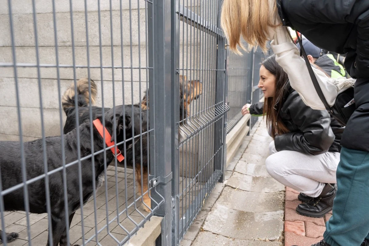 Bytom: Nowi wolontariusze gotowi do pomocy w schronisku dla zwierząt