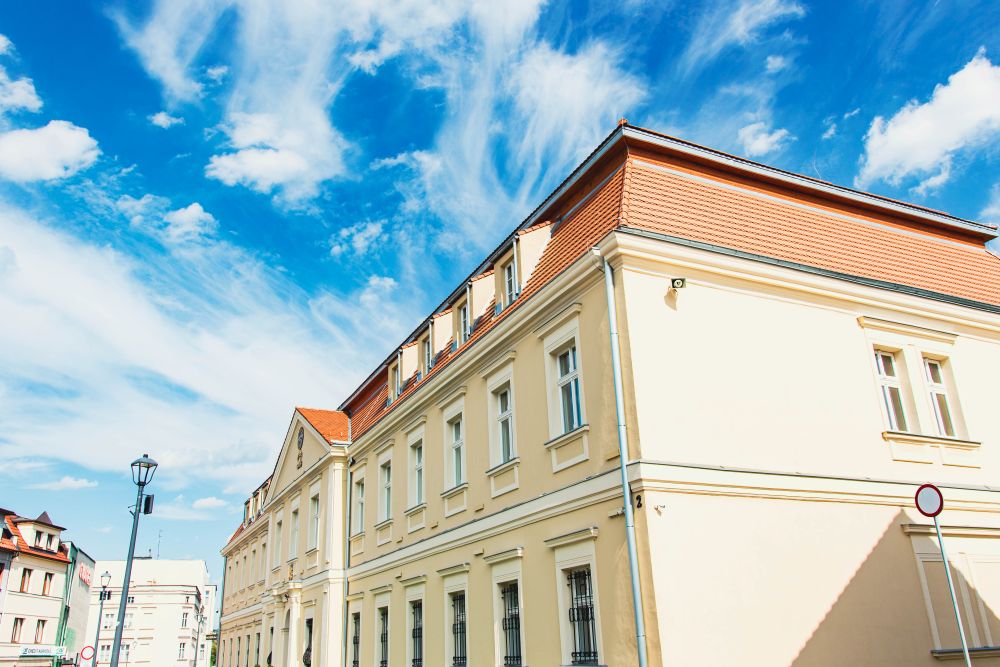 "Rośliny i ludzie. Historia zapisana w ziemi" - nadchodzi kolejna odsłona Muzealnych Spotkań Archeologicznych