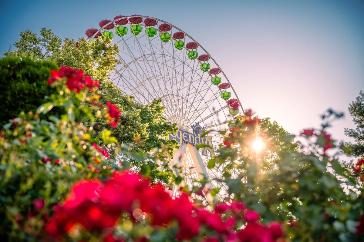 Legendia rozpoczyna sezon 2026. Na start bilety nawet 50% taniej i powrót Biletu Spacerowego / fot. Legendia