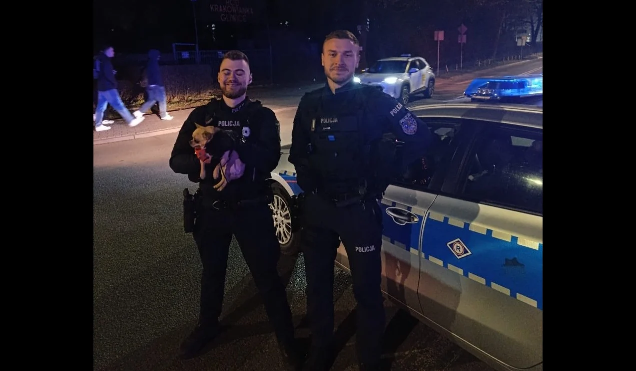 Szczęśliwy finał akcji w Gliwicach. Policjanci odnaleźli poszukiwanego pieska