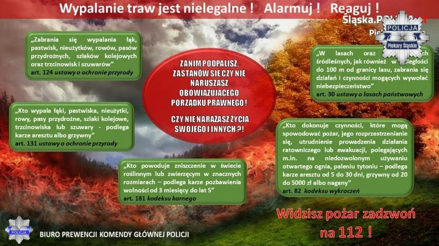 Za wypalanie traw grożą surowe kary. Policja apeluje o rozsądek
