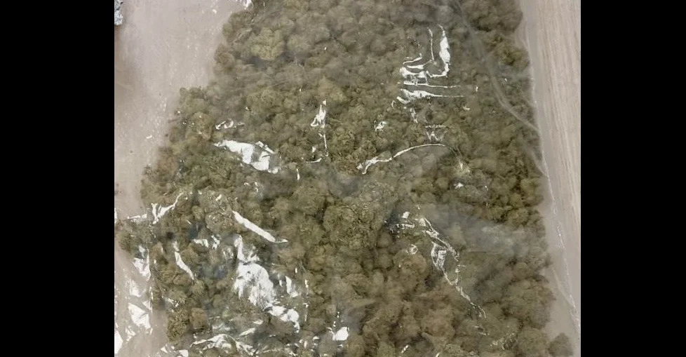 Sosnowieccy wywiadowcy zatrzymali 29-latka z narkotykami. W mieszkaniu miał blisko 160 gramów marihuany