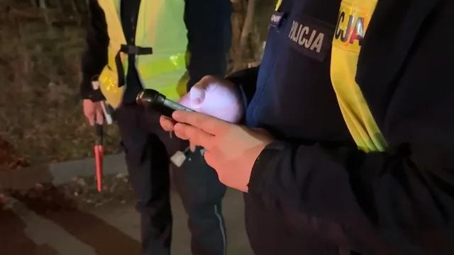 Nocne kontrole przewozów na aplikację w Rudzie Śląskiej. Sprawdzono ponad 50 kierowców