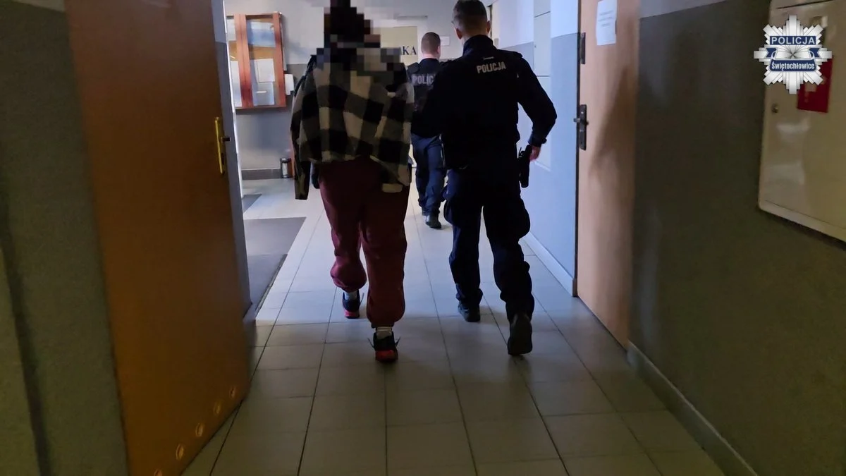 Interwencja w Świętochłowicach zakończona atakiem na policjantów. 19-latka ugryzła funkcjonariusza
