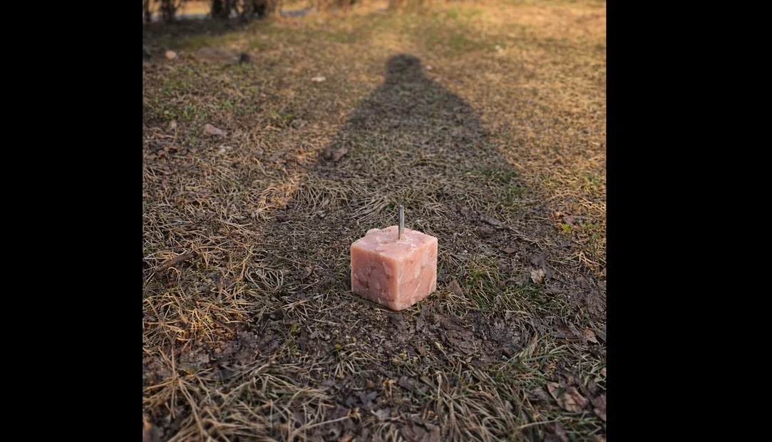 Uwaga na pupile w Kochłowicach! Na trawniku znaleziono wędlinę z gwoździami