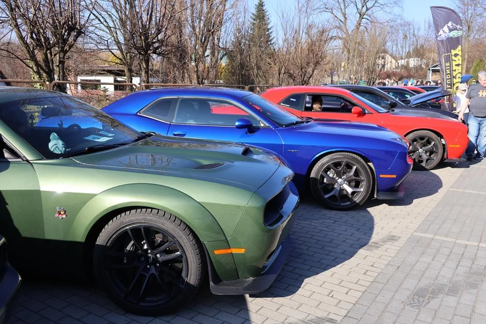 646873308_122203838930329281_9045725281876984643_n