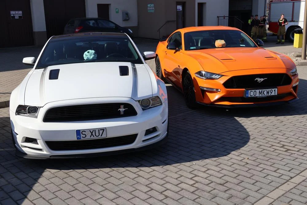 646891081_122203839404329281_754887658514595164_n