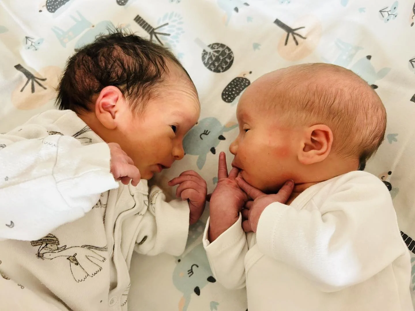 Podwójna radość w Akademickim Centrum Zdrowia w Mikołowie – Narodziny bliźniaków Krzysia i Grzesia