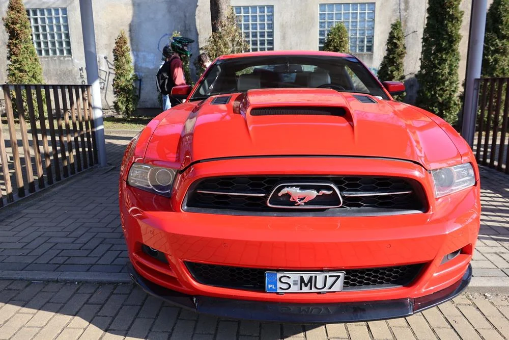 648771557_122203836302329281_5596890404328050128_n