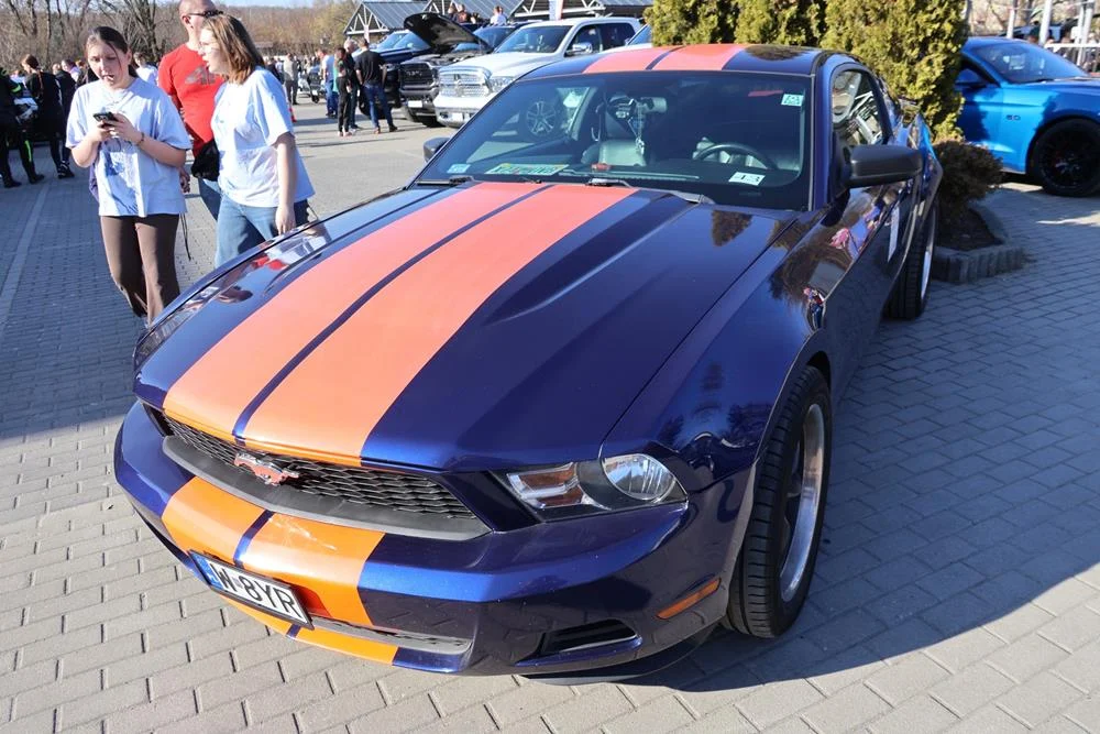 649173206_122203838702329281_8844302211403190768_n