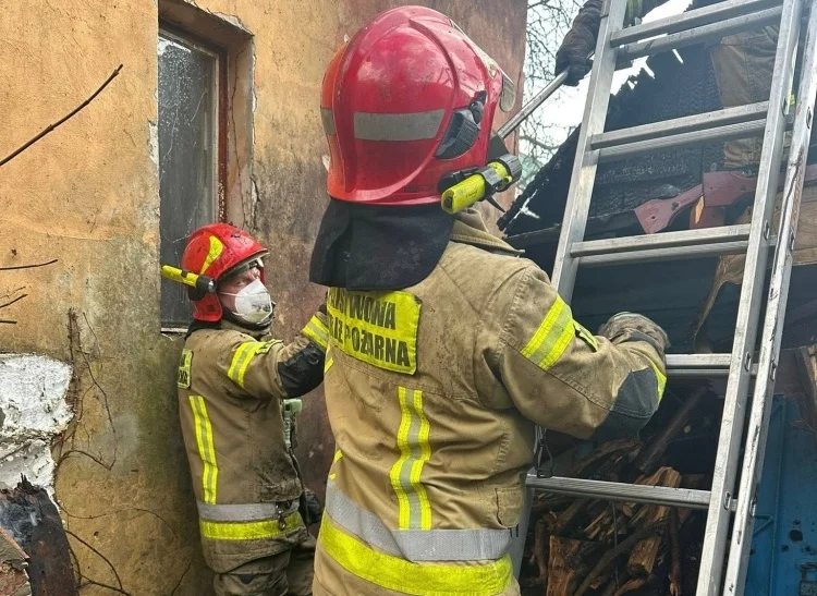 Pożar altany w Rudzie Śląskiej: Straż Pożarna szybko opanowała sytuację