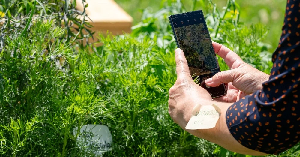 Konkurs fotograficzny „W Tychach jest pięknie” na 75-lecie miasta