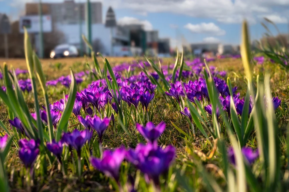 Co robić w Tychach w weekend? Program pełen kultury, sportu i rodzinnych atrakcji