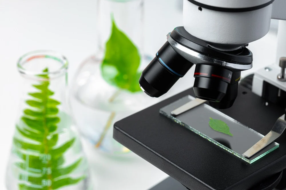 Trzy tyskie szkoły z dofinansowaniem na zielone pracownie