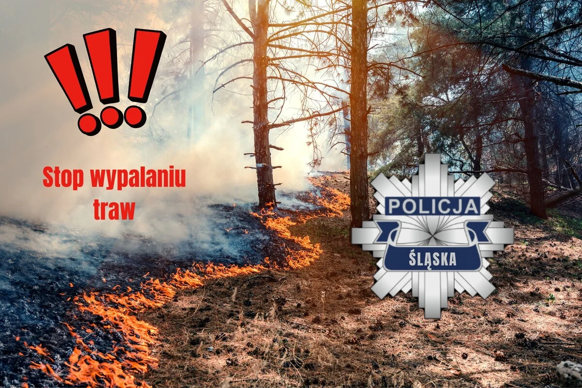 Stop wypalaniu traw – wiosną rośnie zagrożenie pożarowe