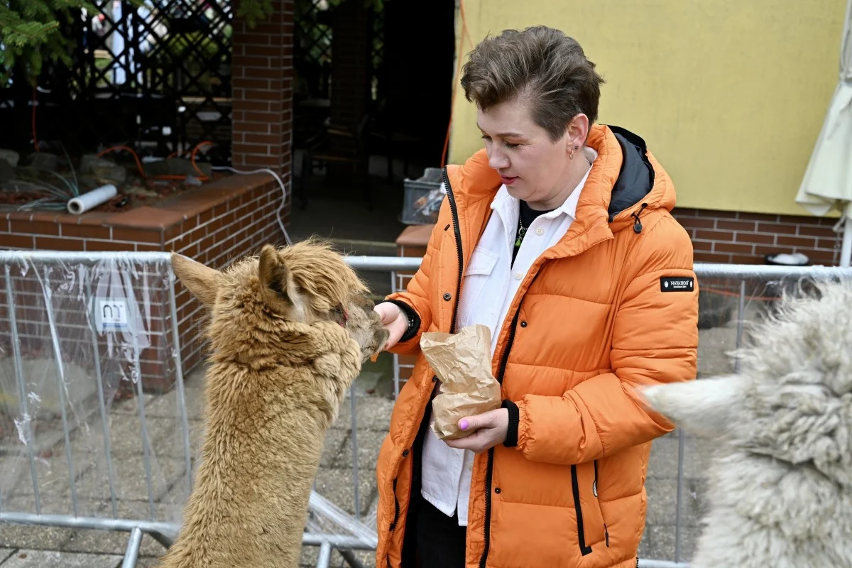 Wielkanocny Jarmark na Bocznej w Chorzowie za nami. Było rodzinnie i świątecznie / fot. UM Chorzów
