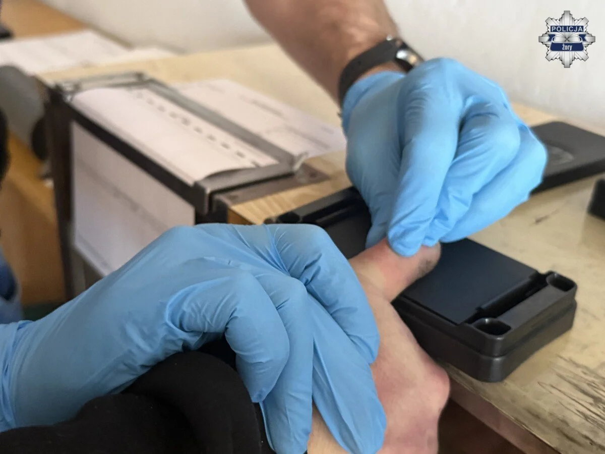 Włamali się do altanki w Żorach. Jeden z zatrzymanych był poszukiwany