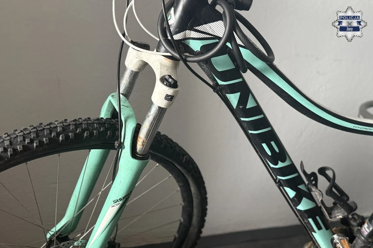 Rower przywłaszczony przez znajomego właścicielki. 44-latek odpowie za przestępstwo