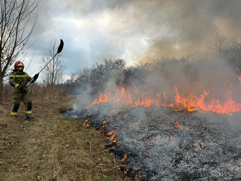 Plaga pożarów traw w Mysłowicach. Strażacy apelują o rozwagę
