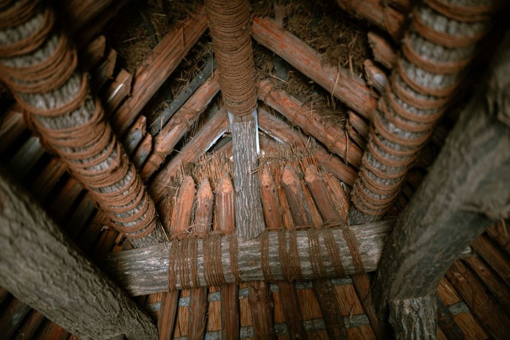 Jak zabezpieczyć stare drewno przed kornikami? Skuteczna ochrona na lata