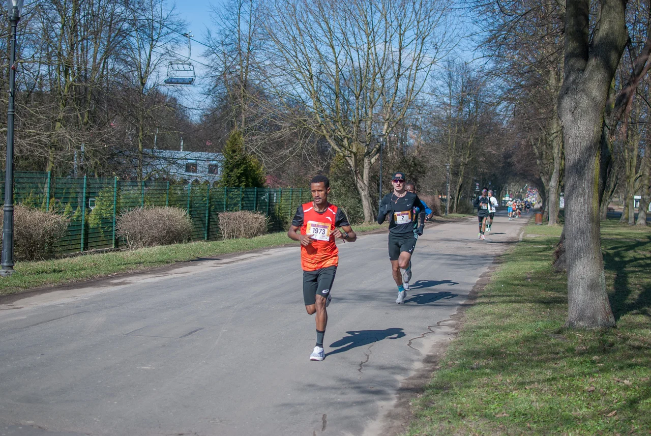 Bieg wiosenny mojchorzow (1)