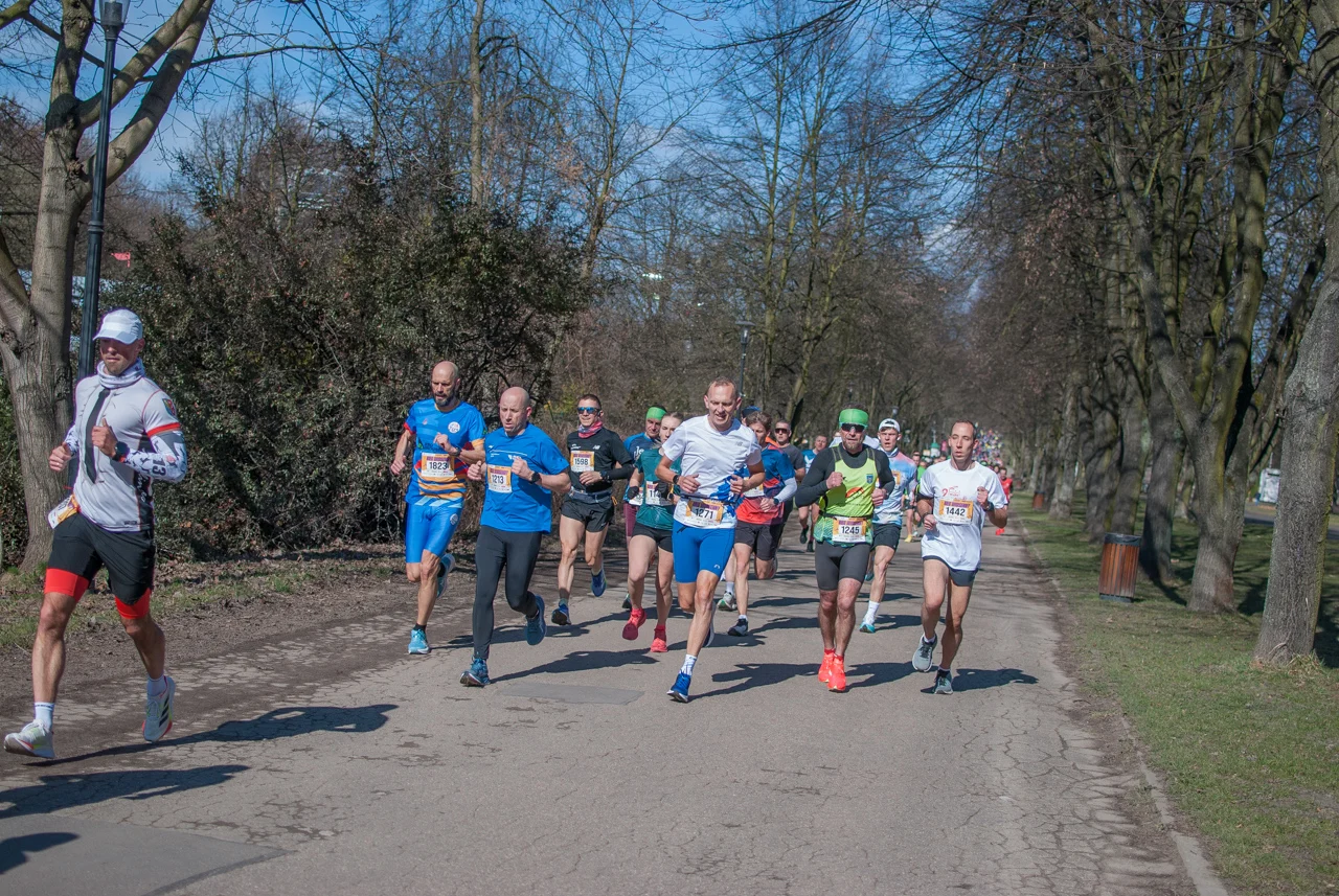 Bieg wiosenny mojchorzow (10)