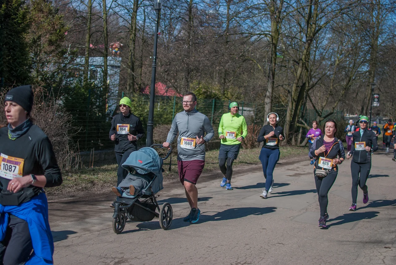 Bieg wiosenny mojchorzow (101)