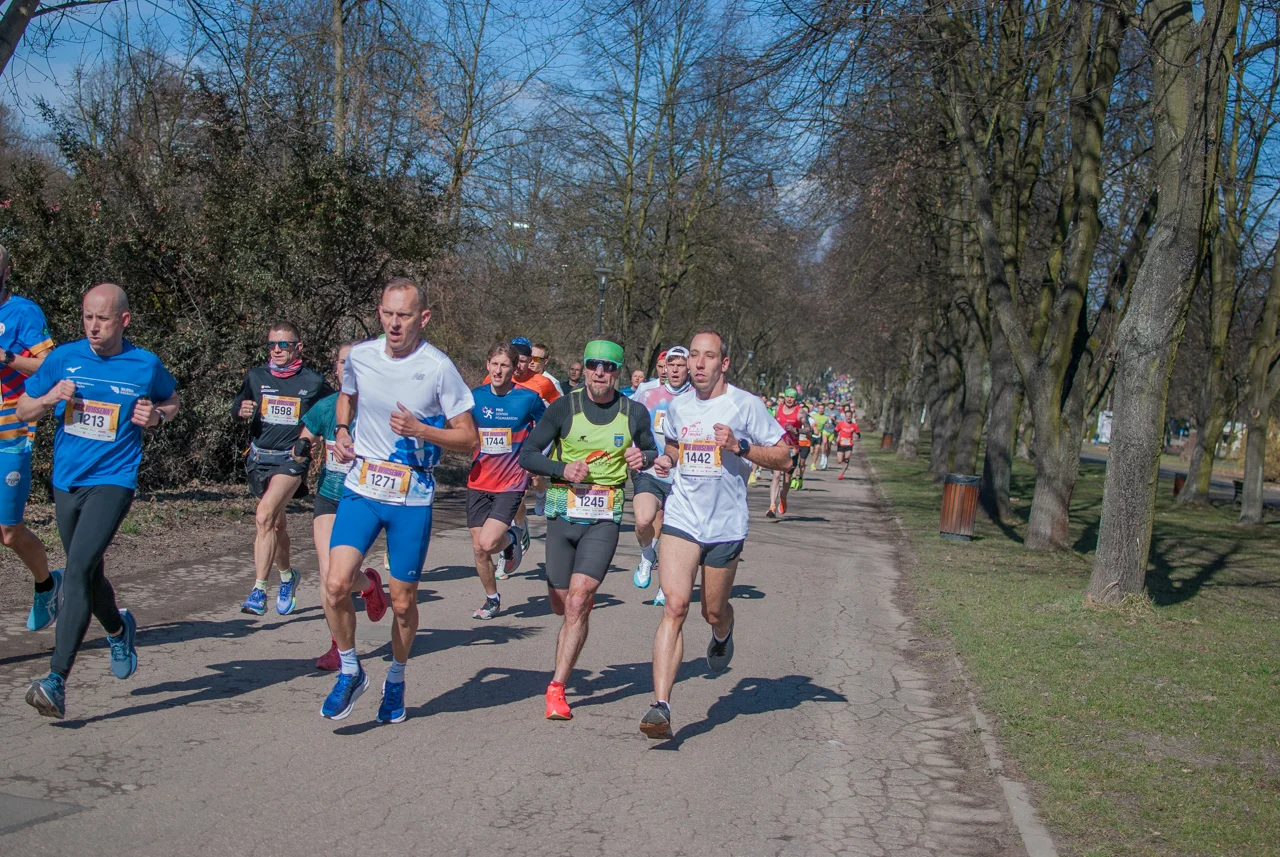 Bieg wiosenny mojchorzow (11)