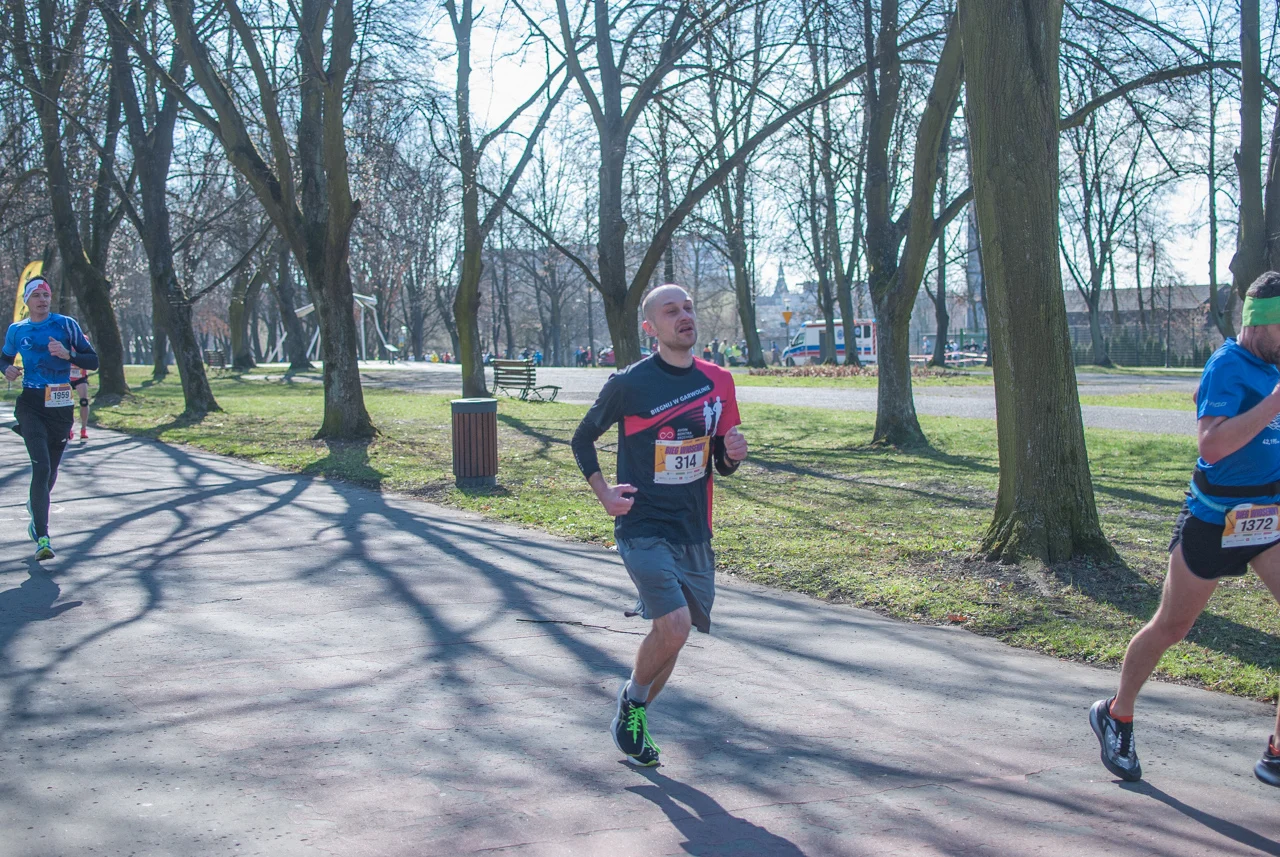 Bieg wiosenny mojchorzow (129)