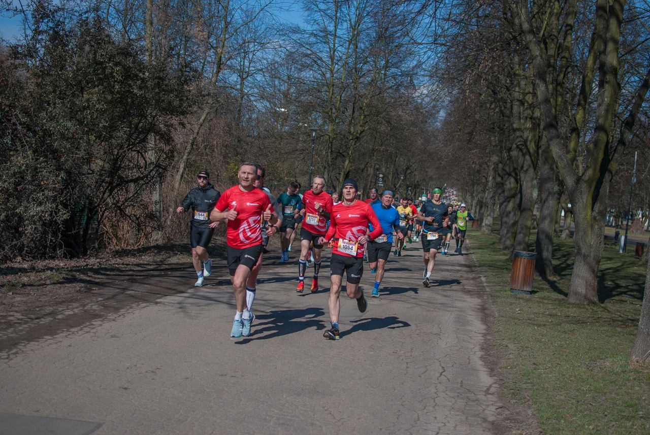 Bieg wiosenny mojchorzow (19)