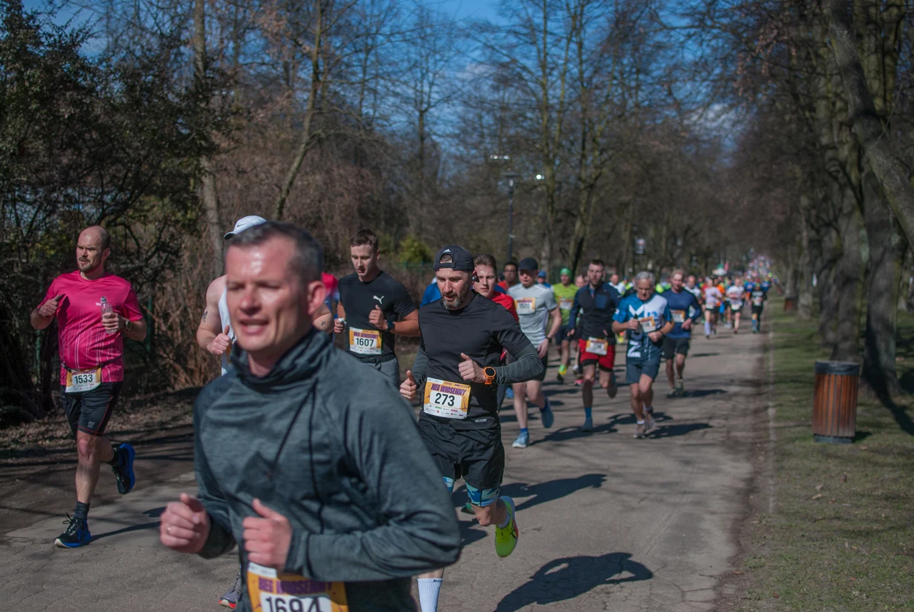 Bieg wiosenny mojchorzow (31)