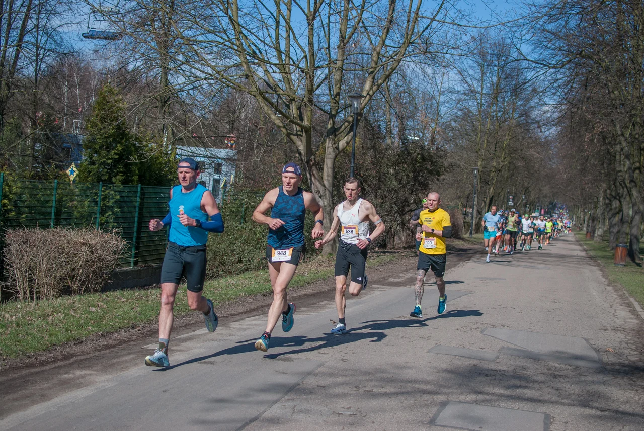 Bieg wiosenny mojchorzow (5)