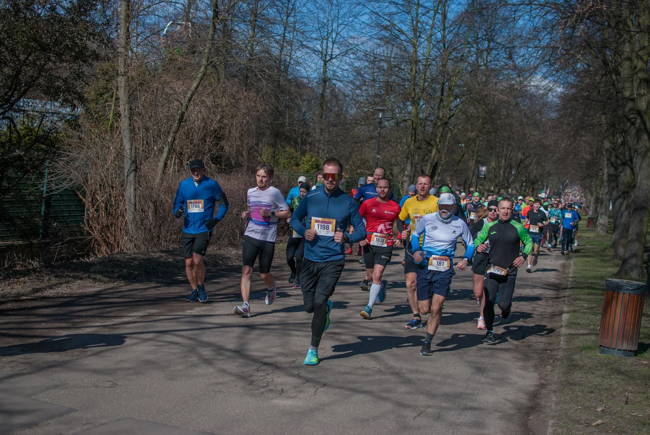 Bieg wiosenny mojchorzow (50)