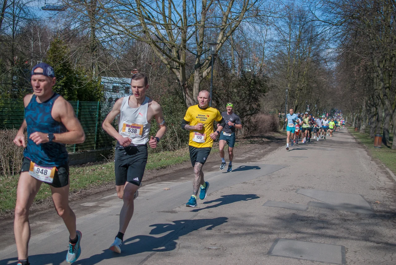 Bieg wiosenny mojchorzow (6)