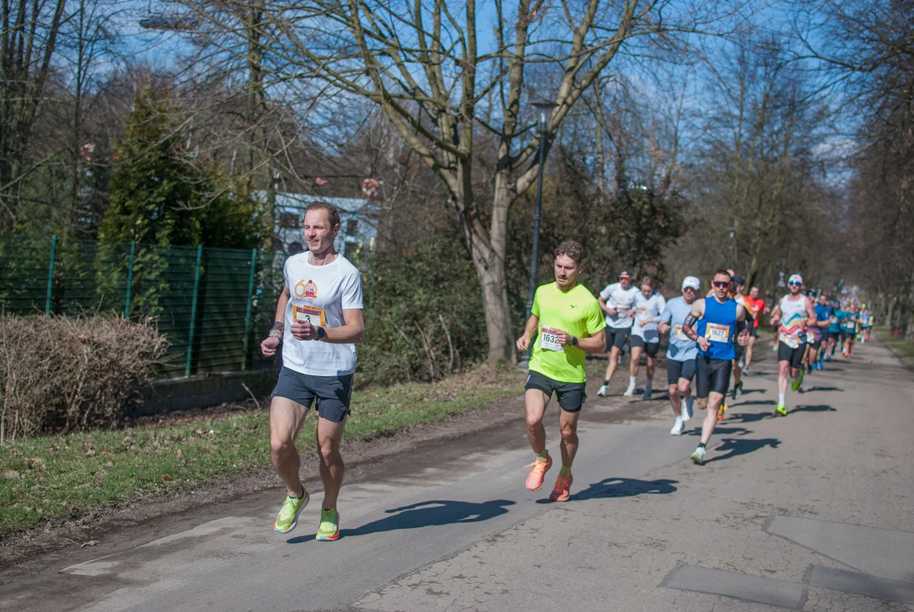 Bieg wiosenny mojchorzow (7)